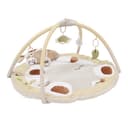 Miniatura 1 de Gimnasio Didáctico Carestino