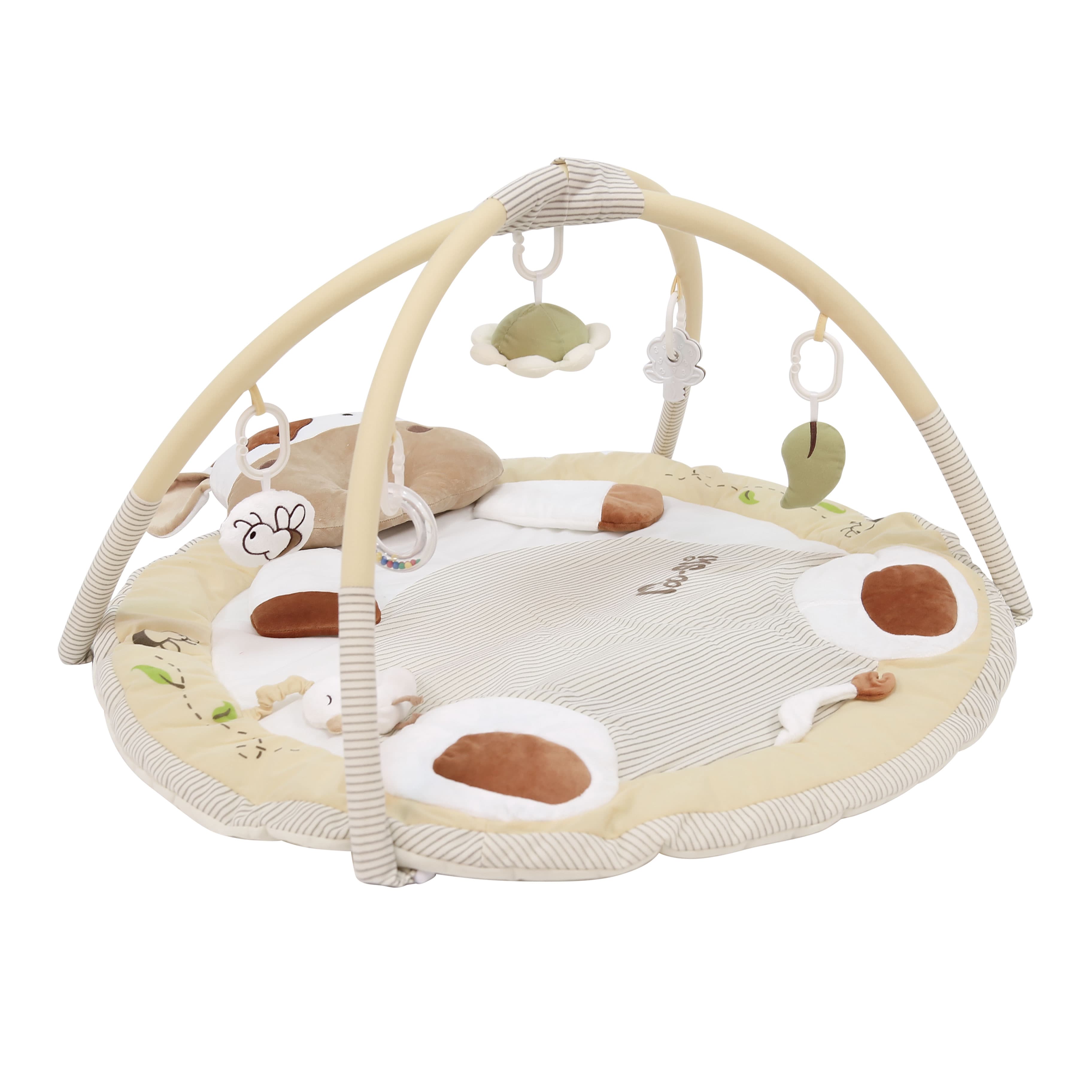 Imagen 1 de 4 de Gimnasio Didáctico Carestino