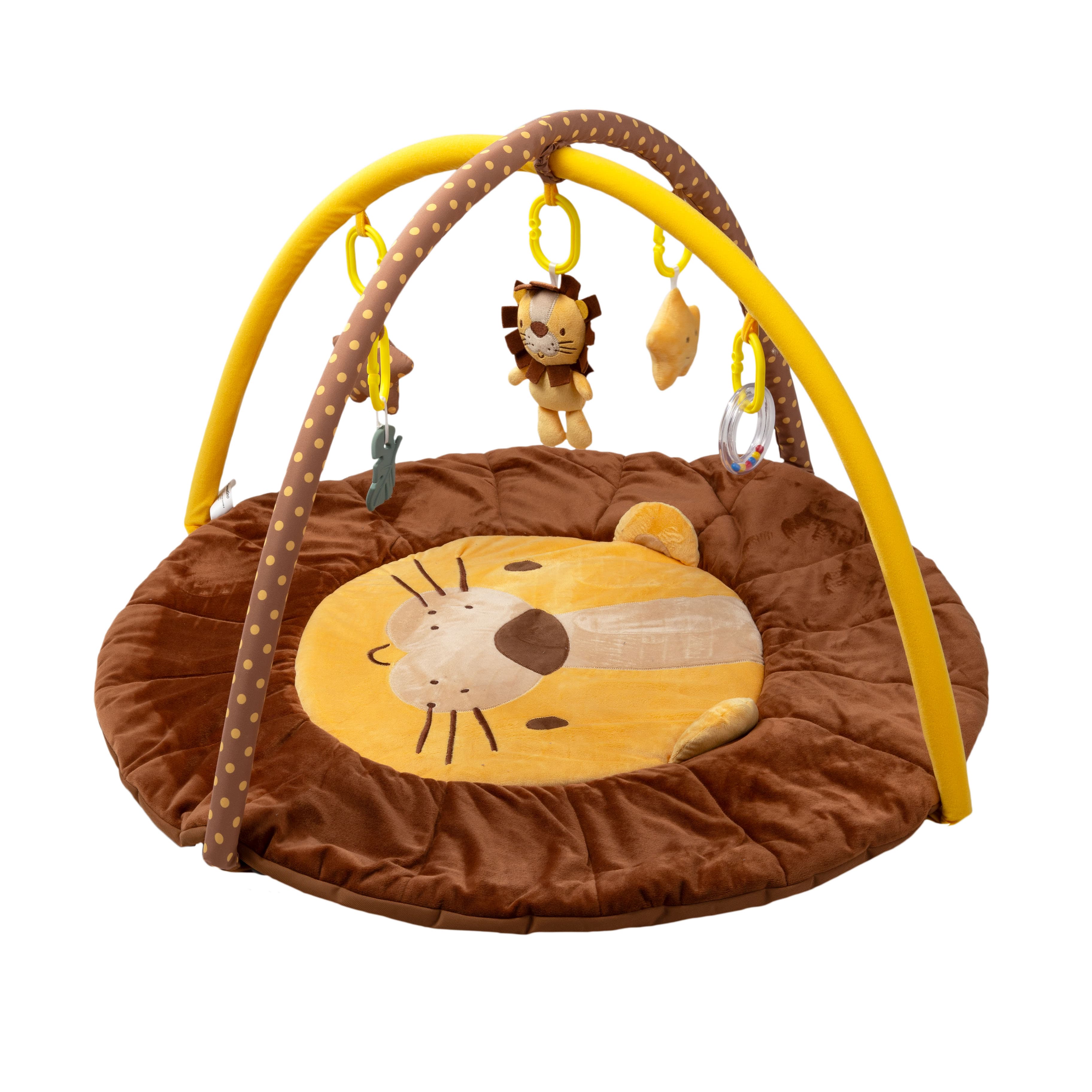 Imagen 1 de 4 de Gimnasio Didáctico Carestino Leon