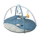 Miniatura 1 de Gimnasio Didáctico Carestino Ballena