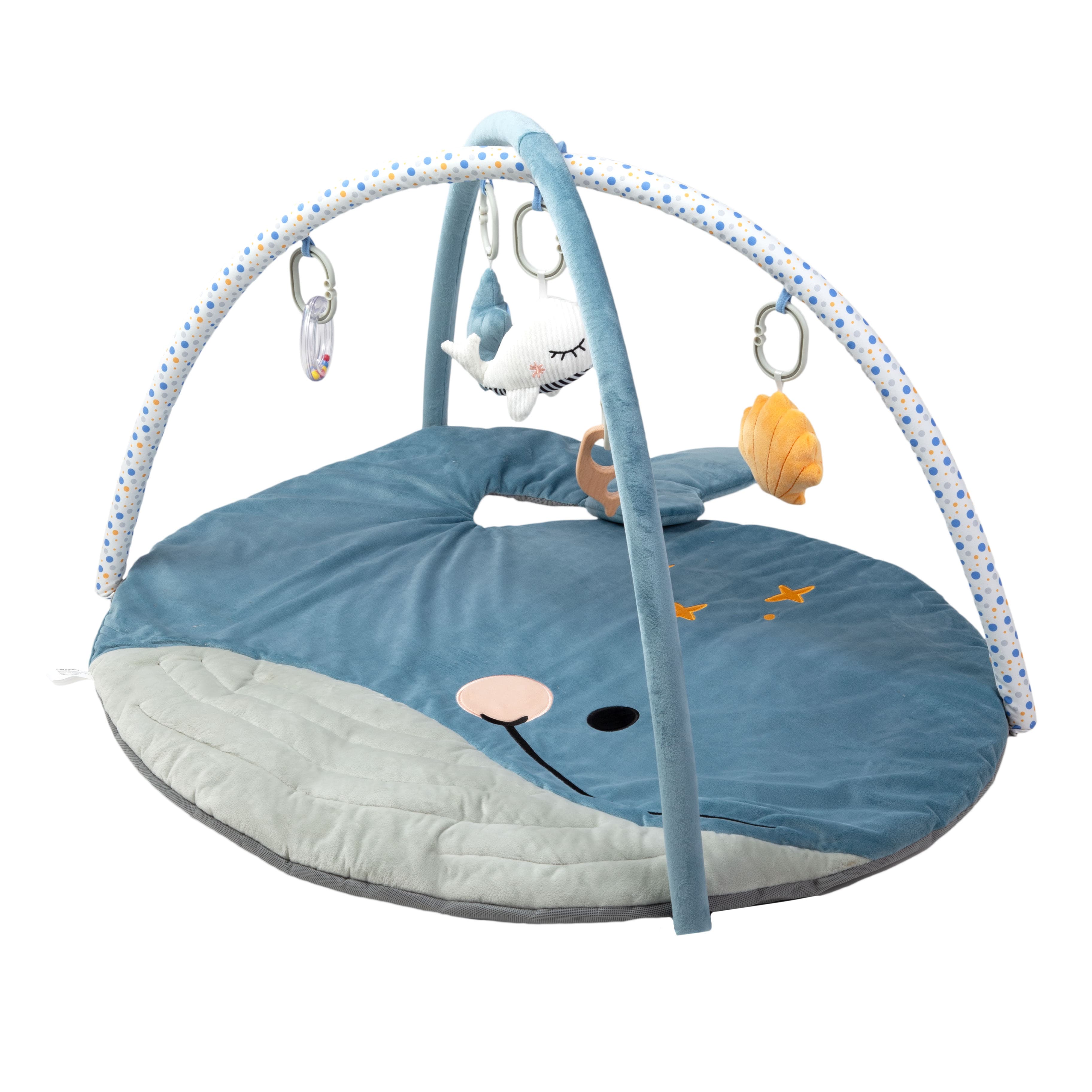 Imagen 1 de 4 de Gimnasio Didáctico Carestino Ballena