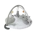 Miniatura 1 de Gimnasio Didáctico Carestino