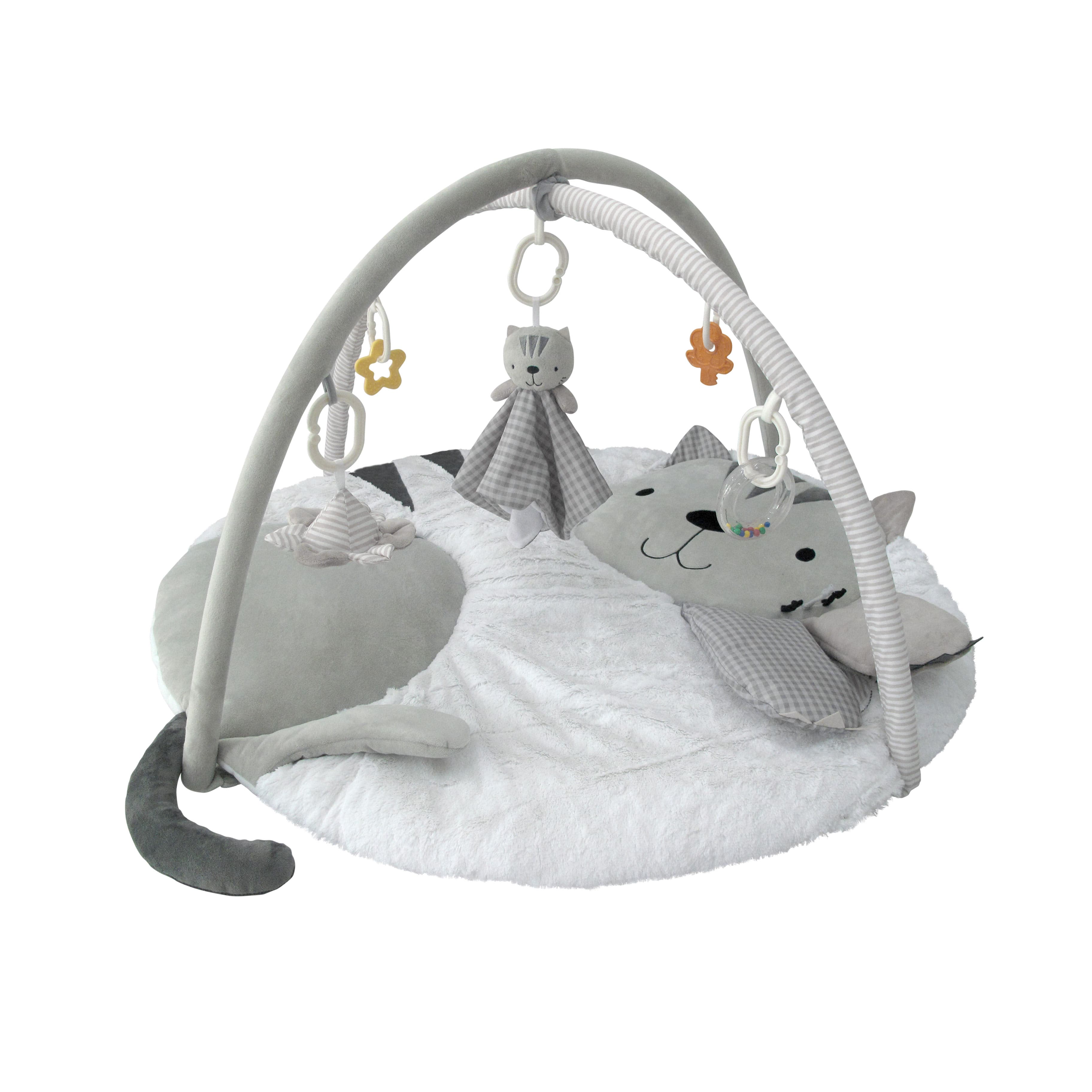 Imagen 1 de 3 de Gimnasio Didáctico Carestino