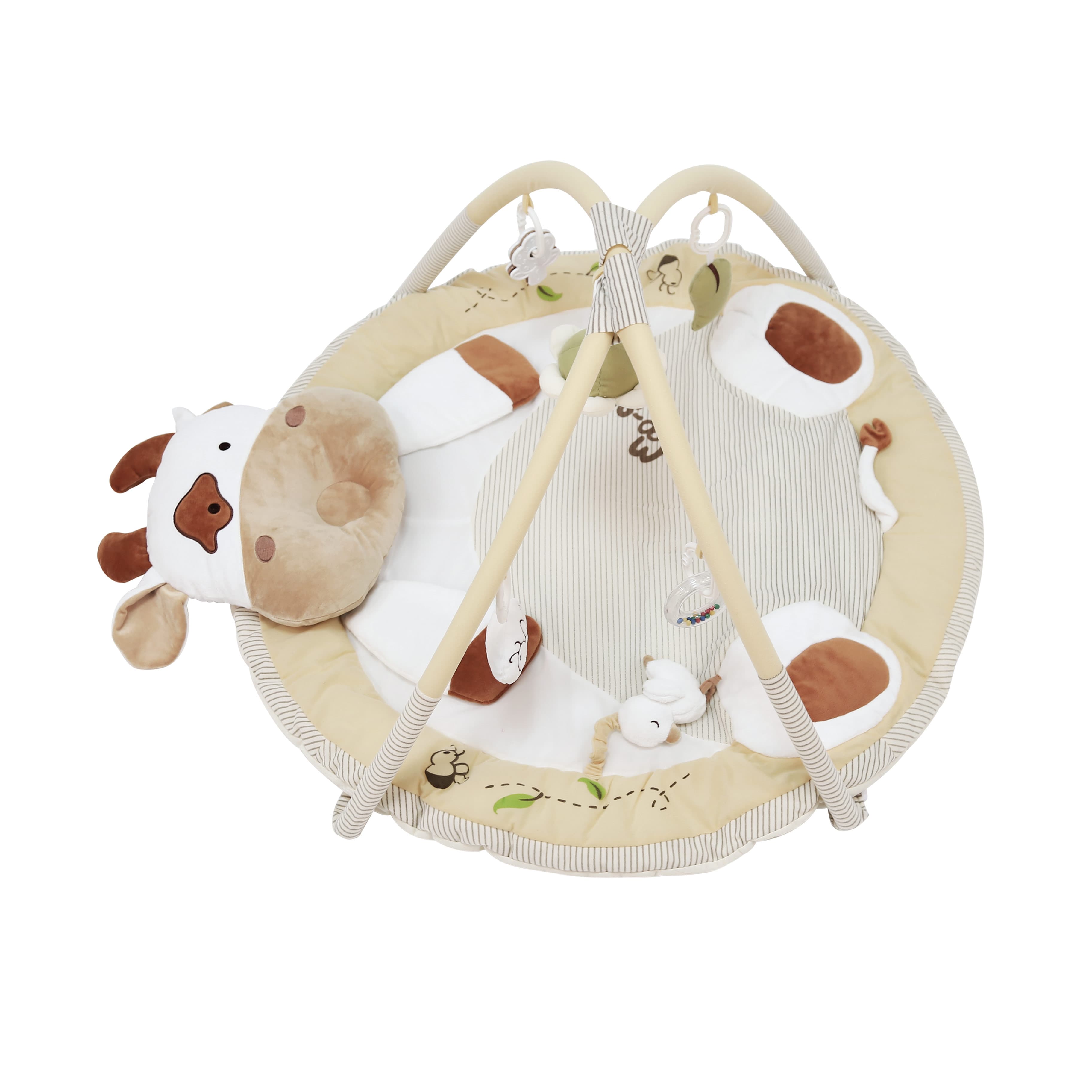 Imagen 2 de 4 de Gimnasio Didáctico Carestino