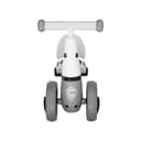 Miniatura 2 de Patacleta