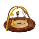 Miniatura 2 de Gimnasio Didáctico Carestino Leon