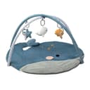 Miniatura 2 de Gimnasio Didáctico Carestino Ballena