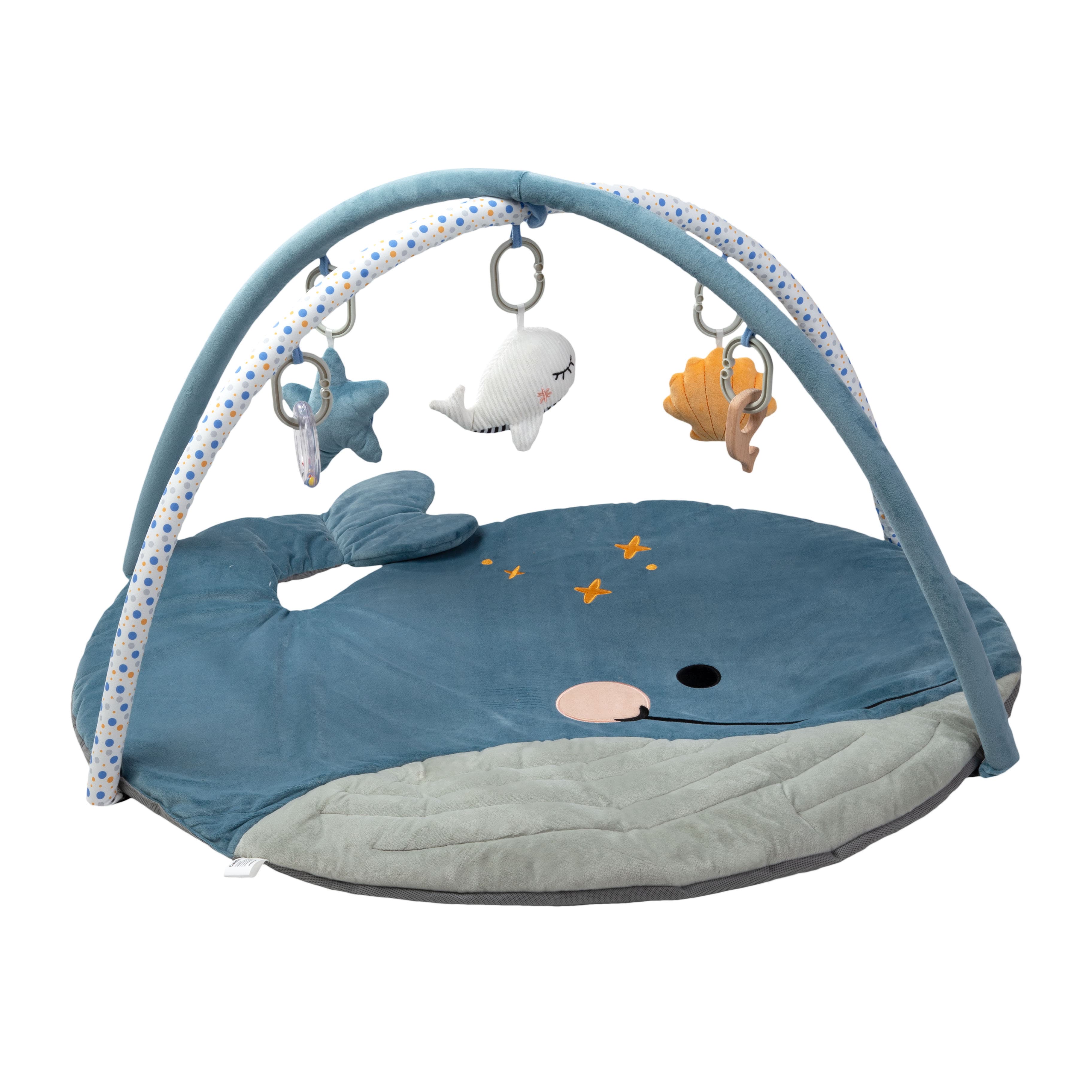 Imagen 2 de 4 de Gimnasio Didáctico Carestino Ballena