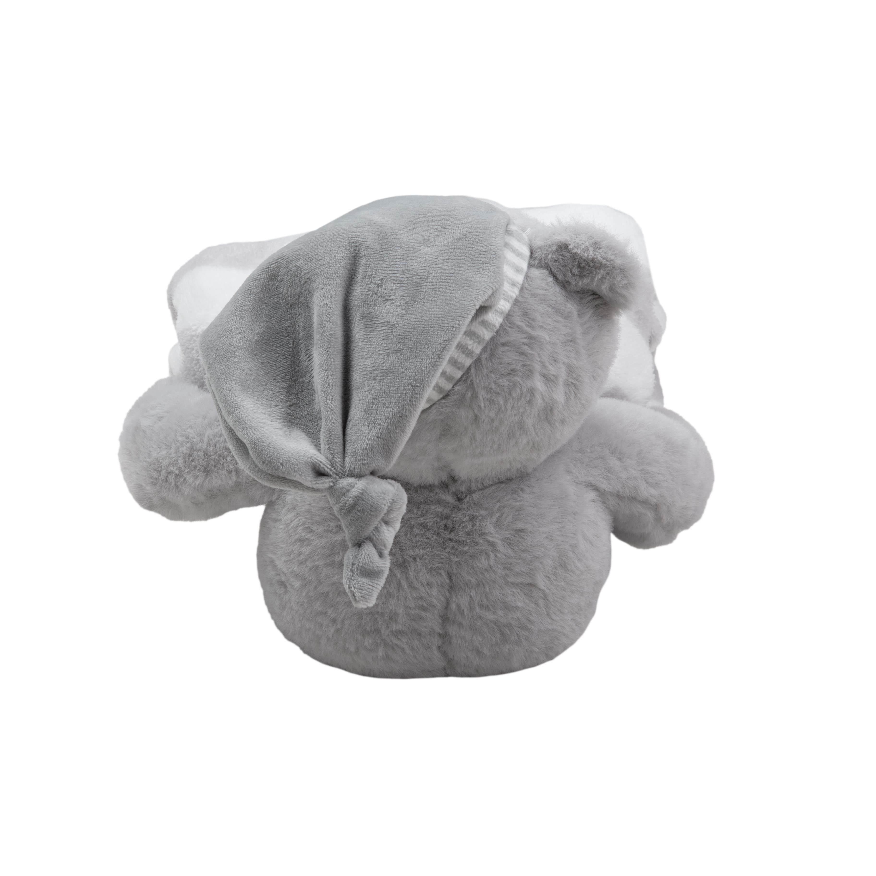 Imagen 3 de 5 de Peluche con Manta Oso