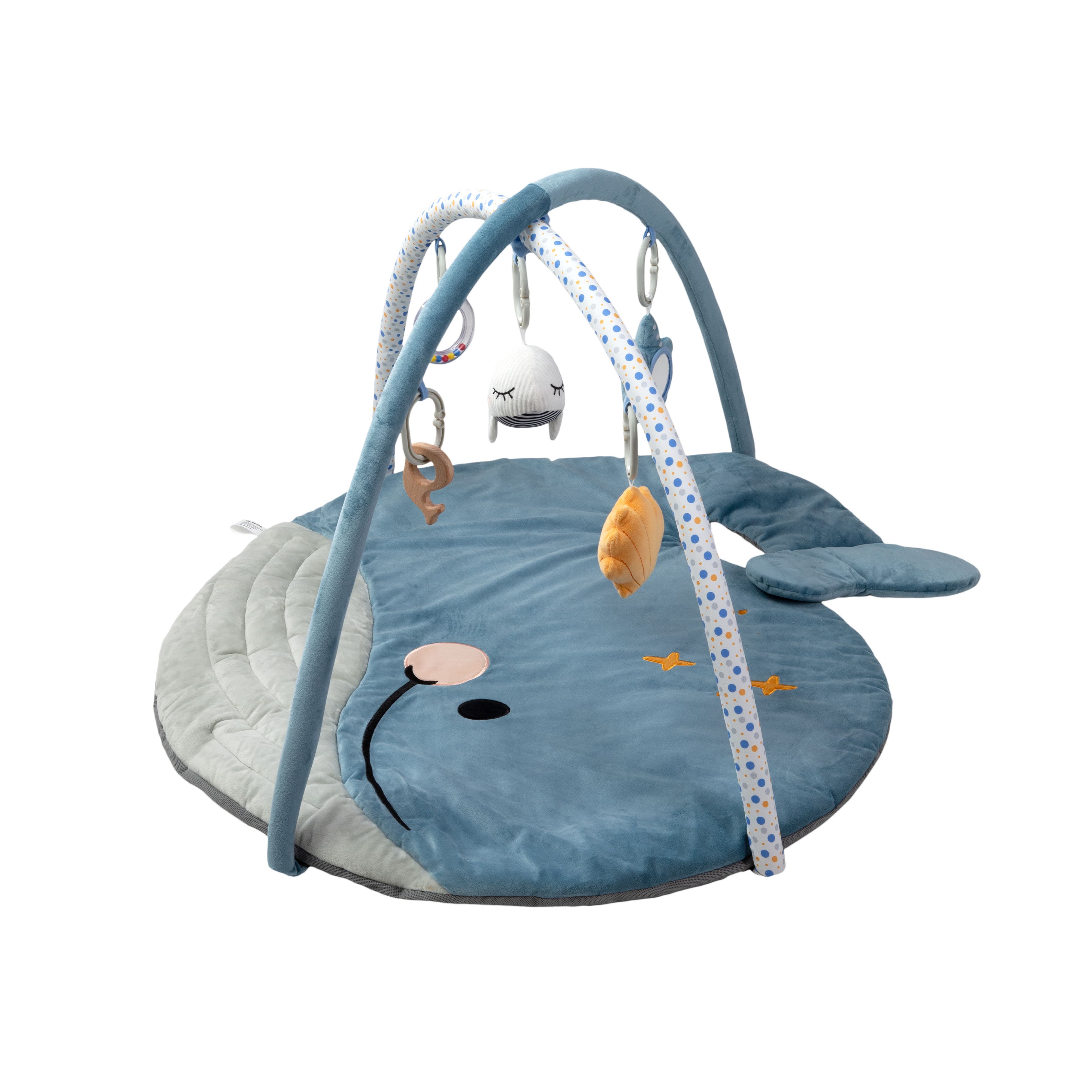 Imagen 3 de 4 de Gimnasio Didáctico Carestino Ballena