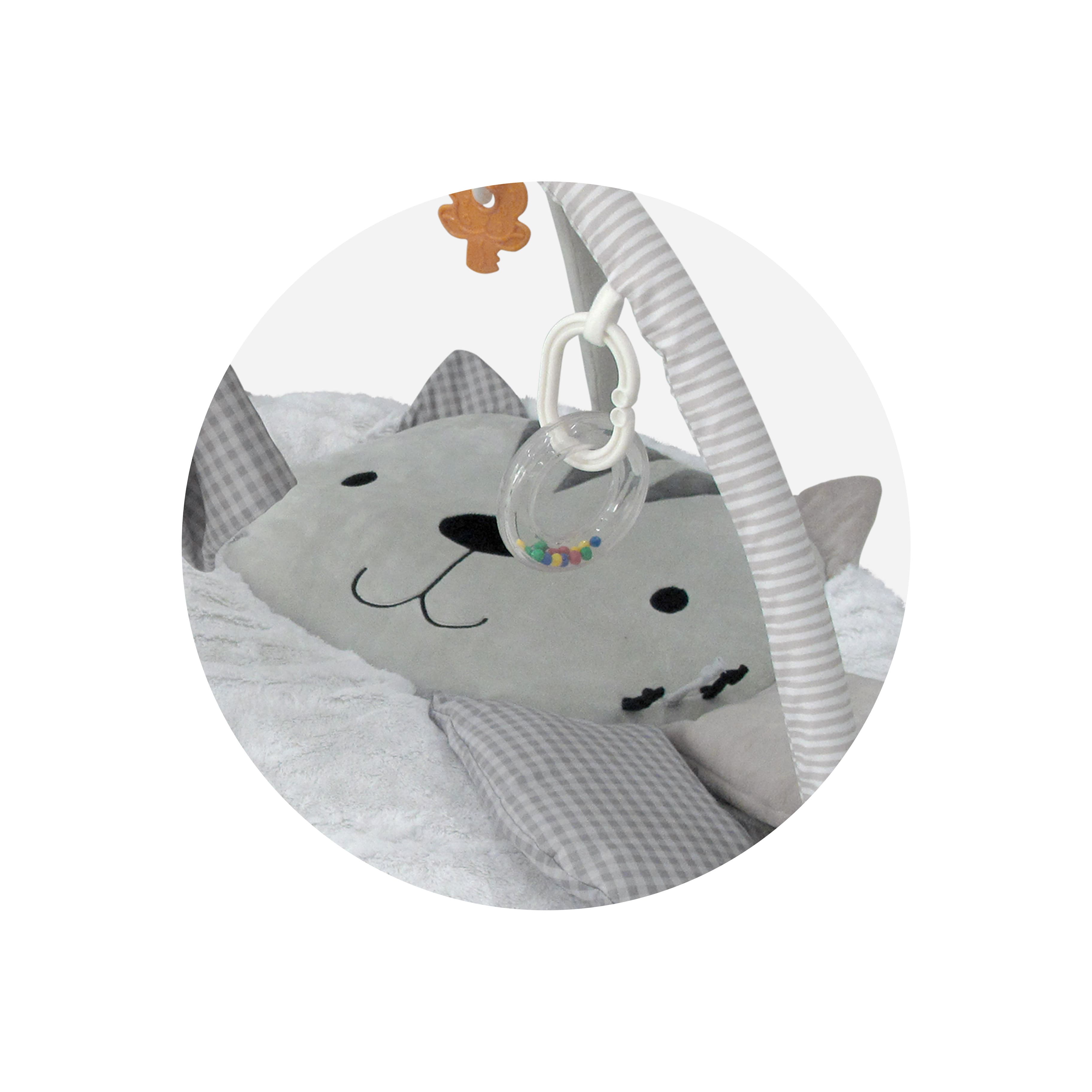 Imagen 3 de 3 de Gimnasio Didáctico Carestino