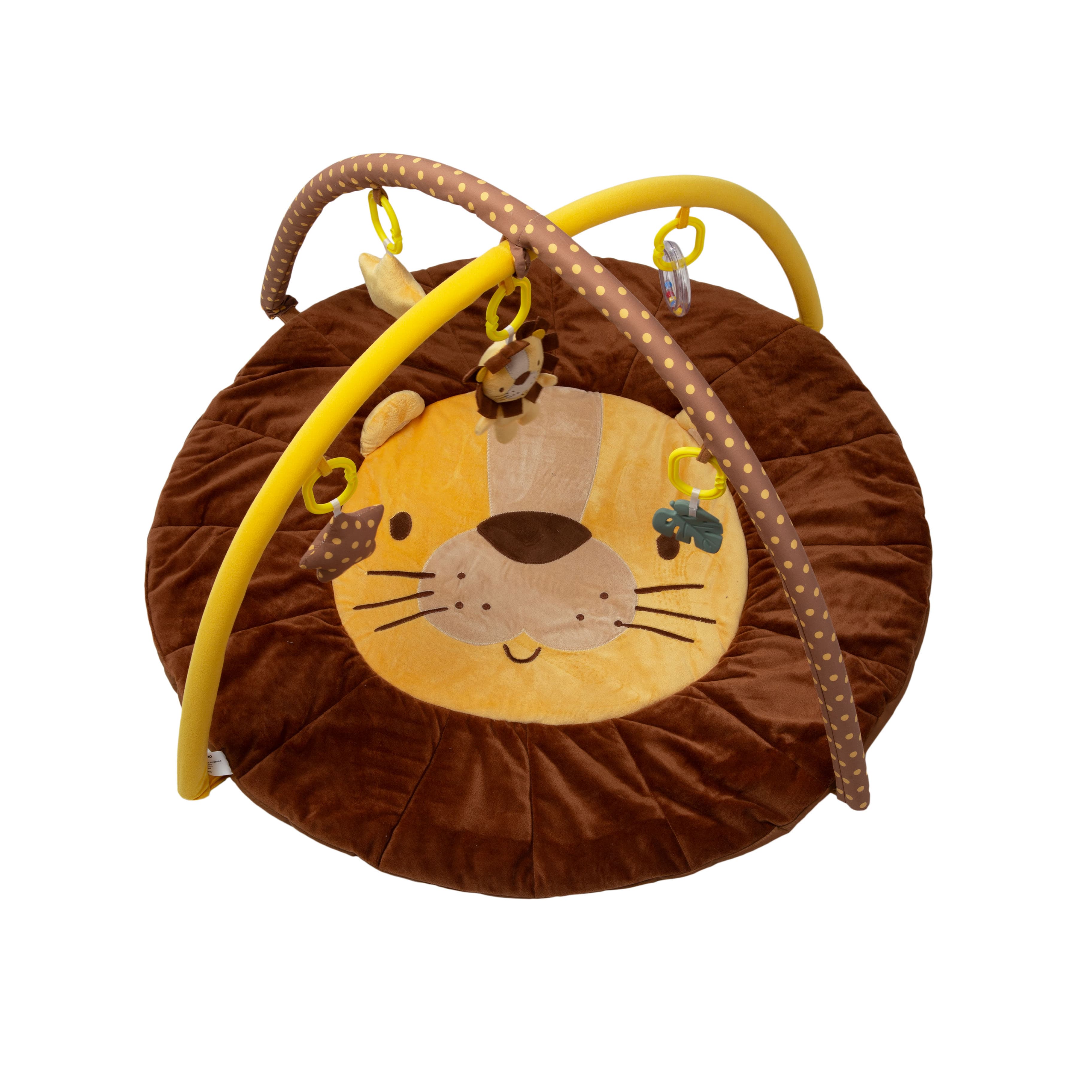 Imagen 4 de 4 de Gimnasio Didáctico Carestino Leon