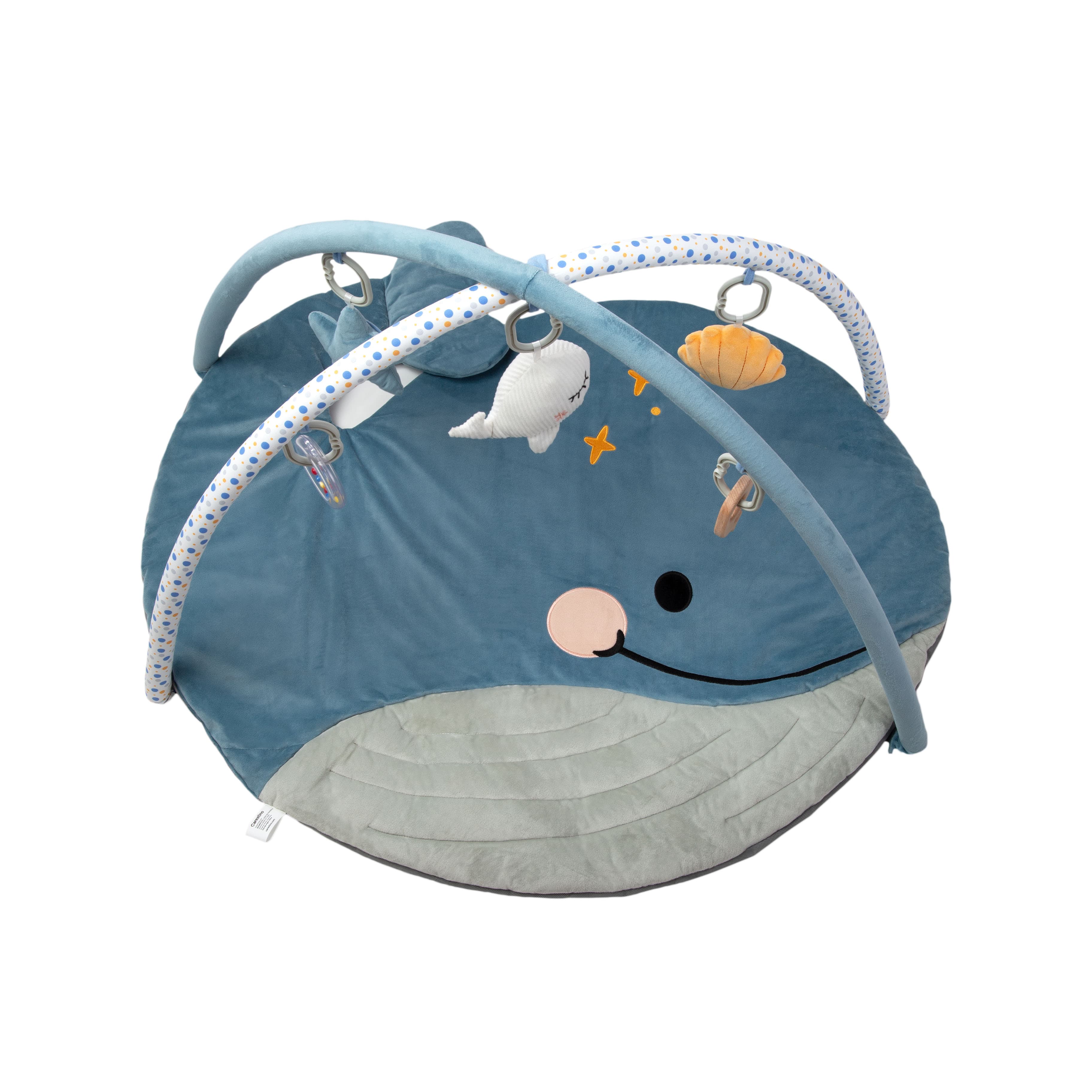 Imagen 4 de 4 de Gimnasio Didáctico Carestino Ballena