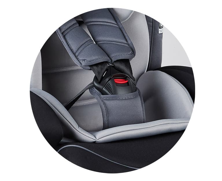 Cinturón de seguridad product image